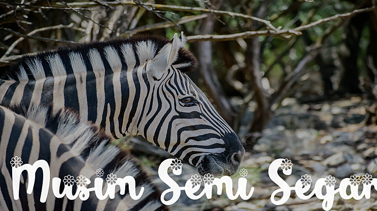 Musim Semi Segar Font