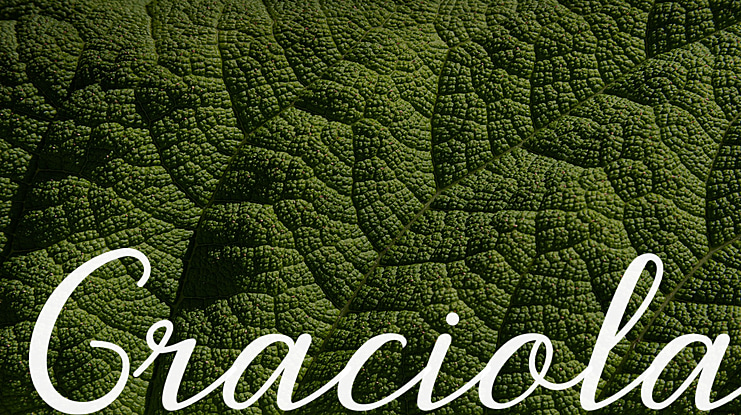 Graciola Font