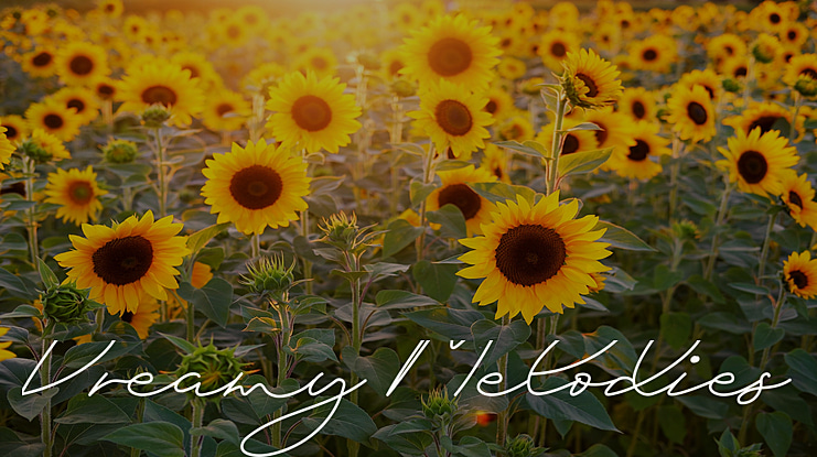 Dreamy Melodies Demo Font