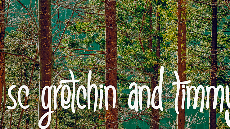 SC Gretchin And Timmy Font