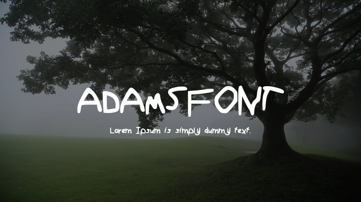 ADAMSFONT Font