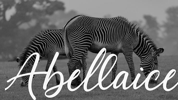 Abellaice Font