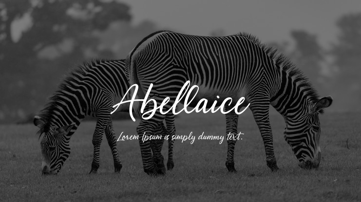 Abellaice Font