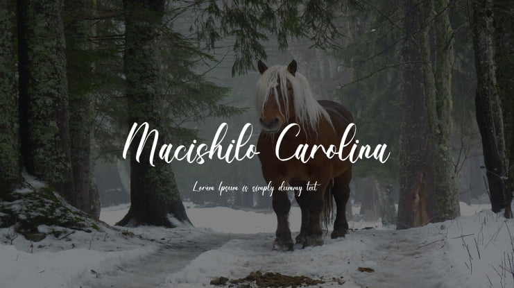 Macishilo Carolina Font