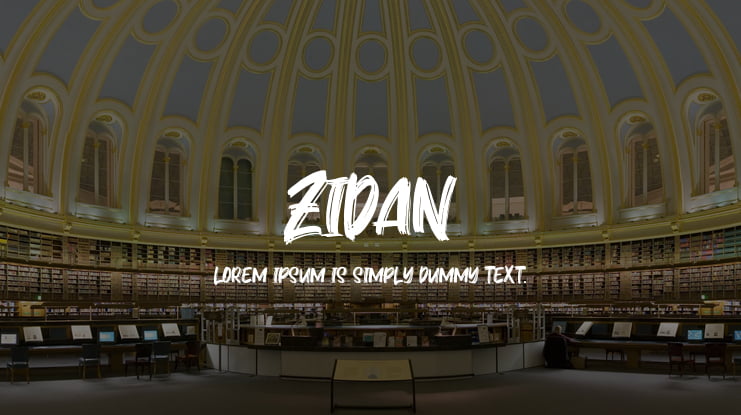 Zidan Font
