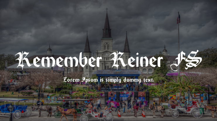 Remember Reiner FS Font