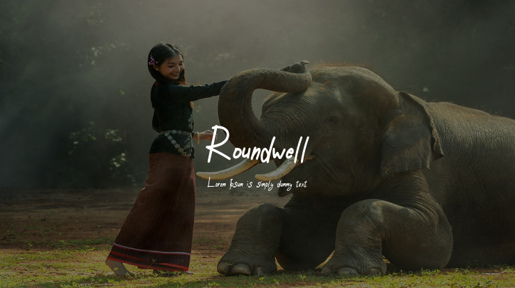 Roundwell Font