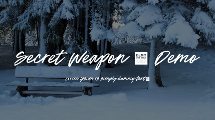 Secret Weapon - Demo Font
