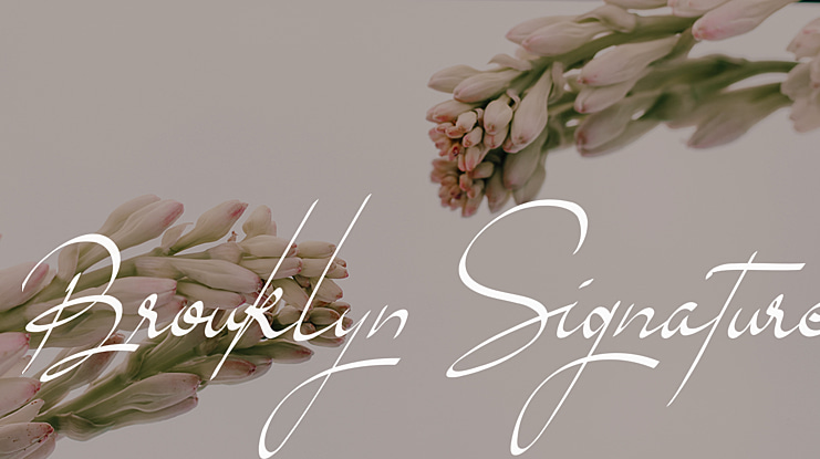 Brouklyn Signature Font