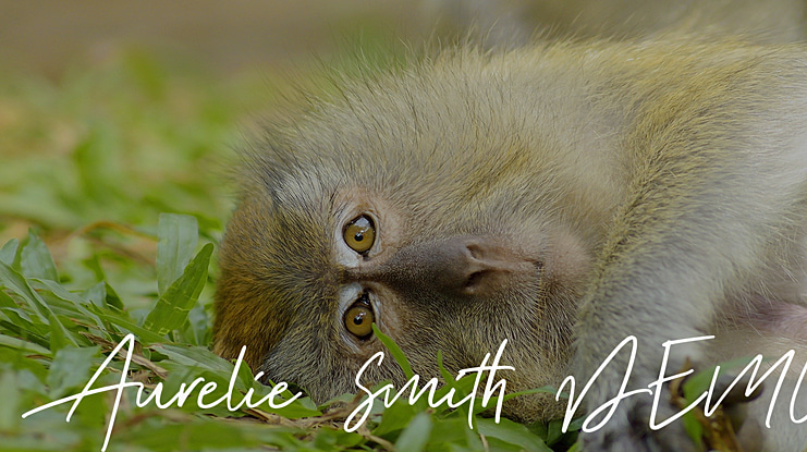 Aurelie Smith DEMO Font