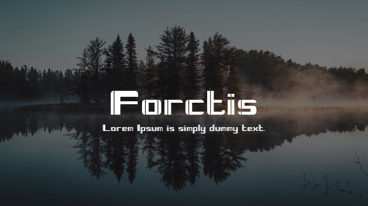 Forctis Font