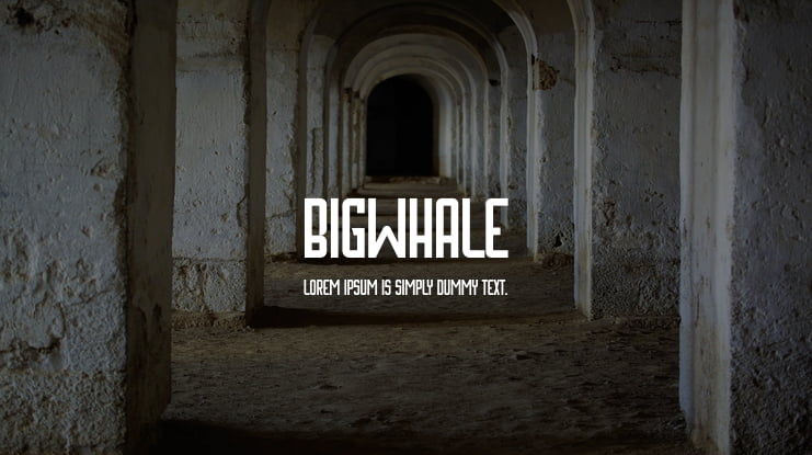 Bigwhale Font