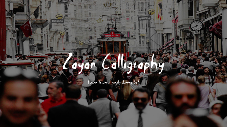 Zayan Calligraphy Font