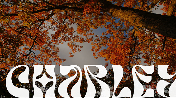 CHARLEY Font