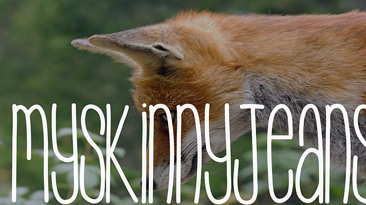 MySkinnyJeans Font