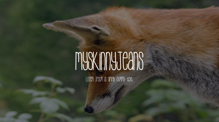 MySkinnyJeans Font