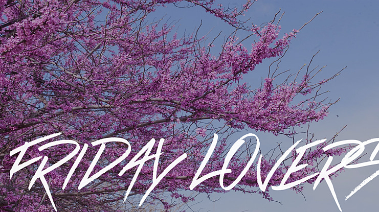 Friday Lovers Font