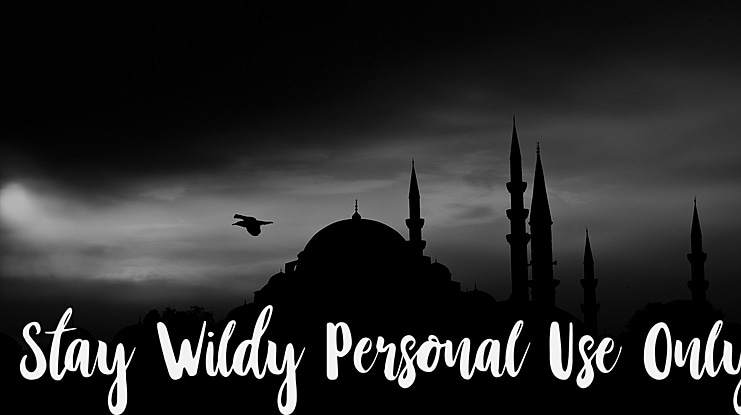 Stay Wildy Personal Use Only Font