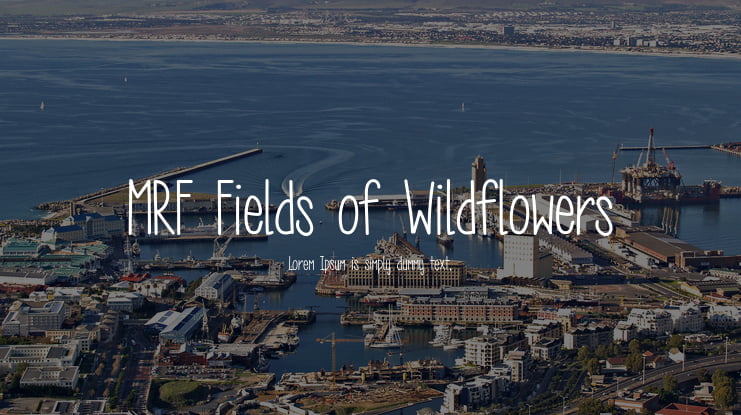 MRF Fields of Wildflowers Font