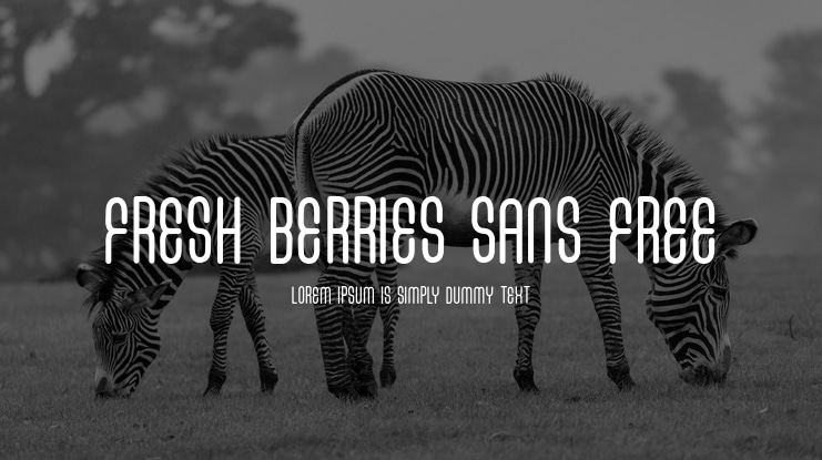 FRESH BERRIES SANS FREE Font Family