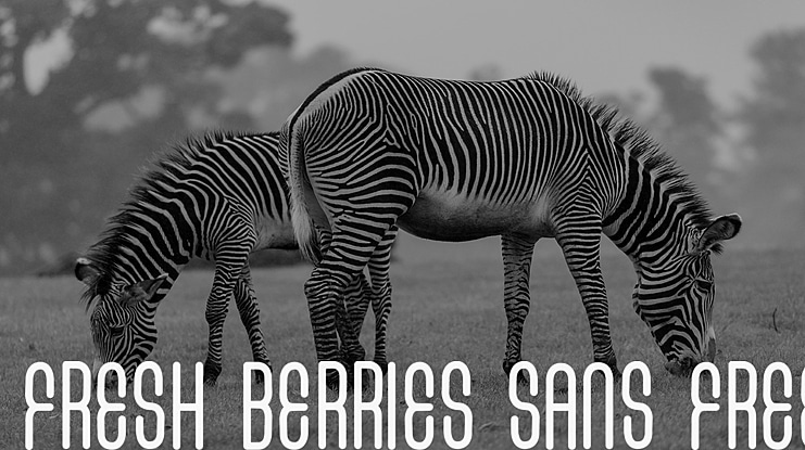 FRESH BERRIES SANS FREE Font Family