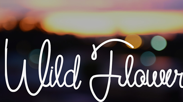 Wild Flower Font