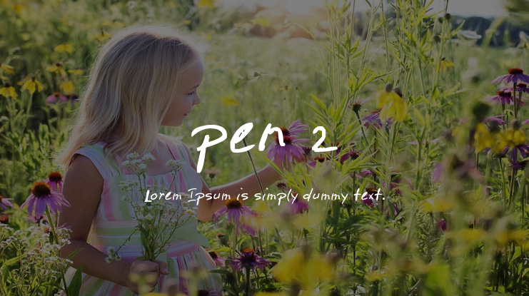 pen 2 Font