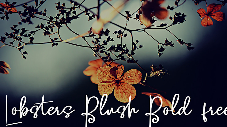 Lobsters Blush  free Font