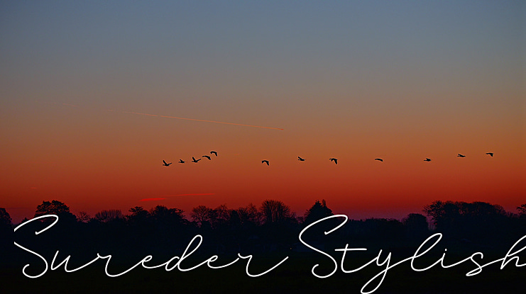 Sureder Stylish Font