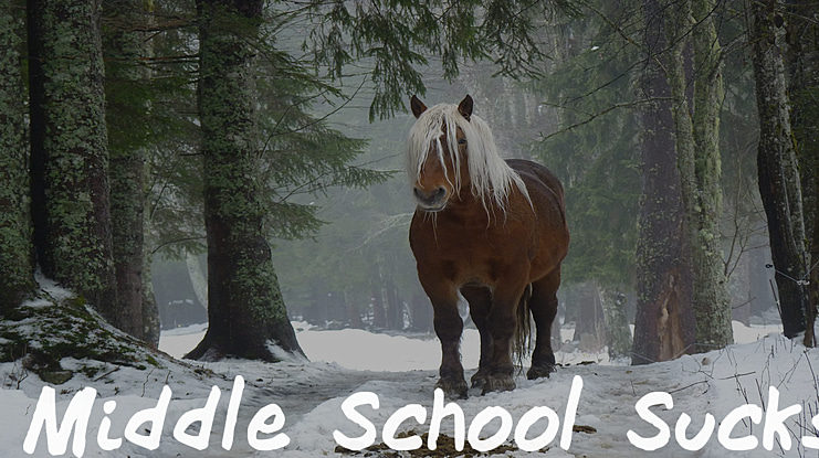 Middle School Sucks Font