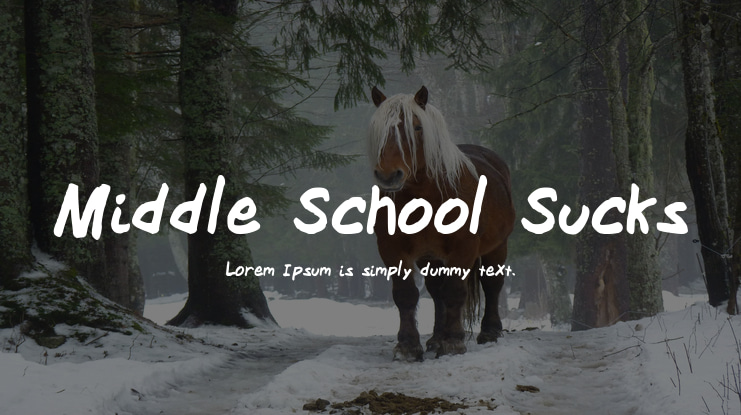 Middle School Sucks Font