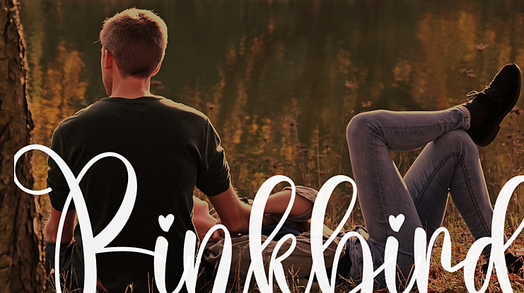 Pinkbird Font