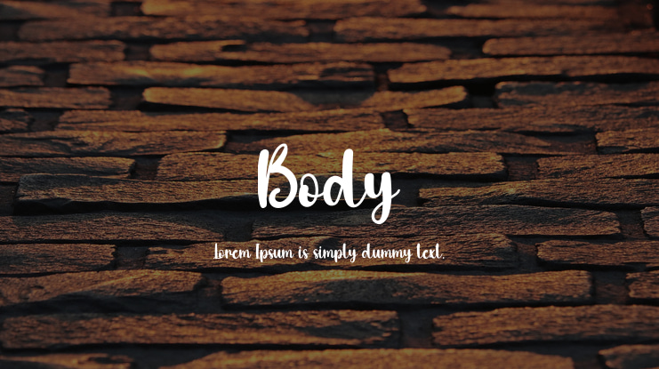 Body Font