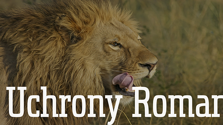 Uchrony Roman Font Family