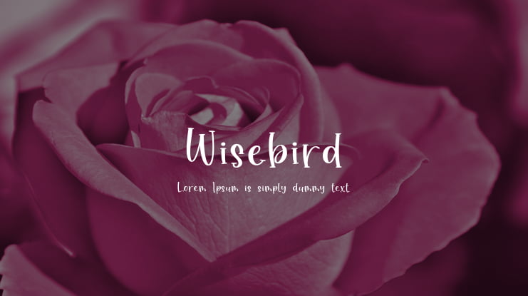 Wisebird Font