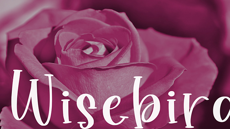 Wisebird Font