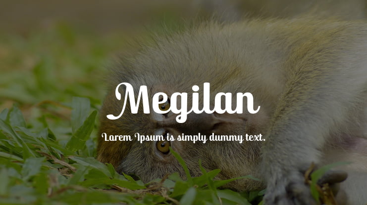 Megilan Font