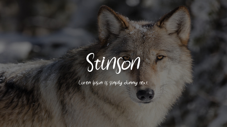Stinson Font