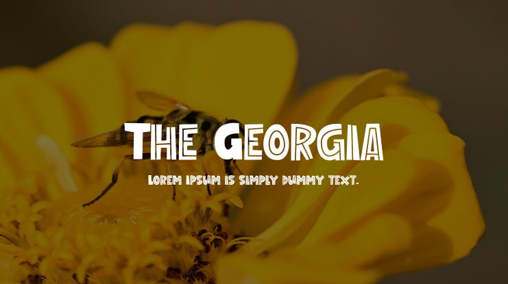 The Georgia Font
