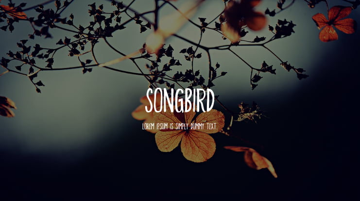 Songbird Font