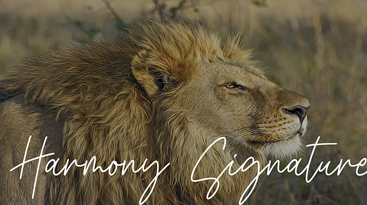 Harmony Signature Font