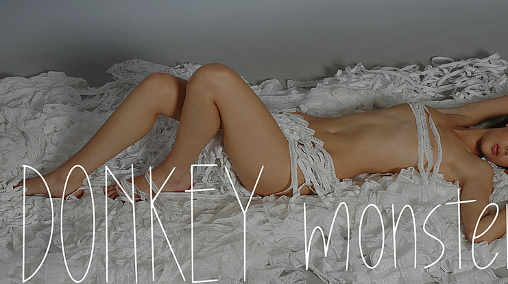 Donkey Monster Font