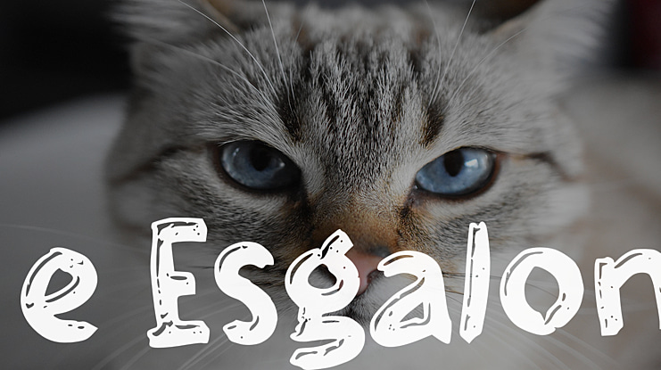 e Esgalon Font