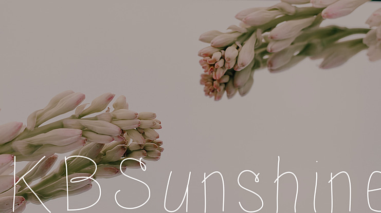 KBSunshine Font Family