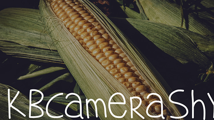 KBCameraShy Font