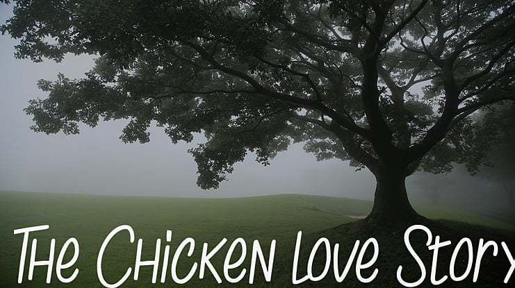 The Chicken love Story Font