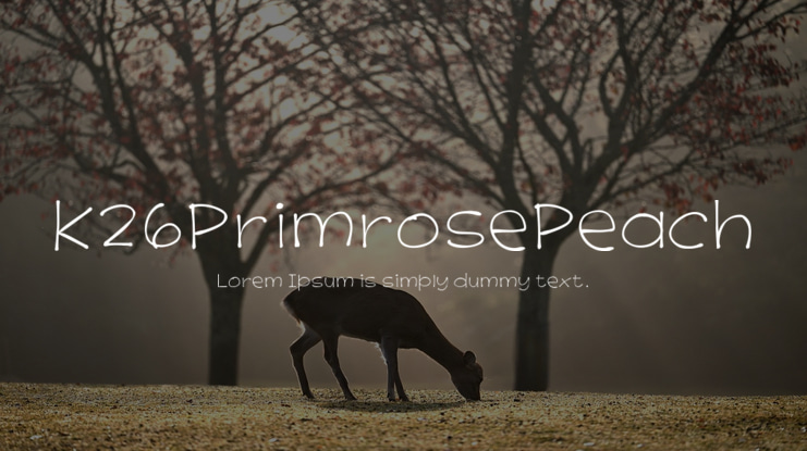 K26PrimrosePeach Font