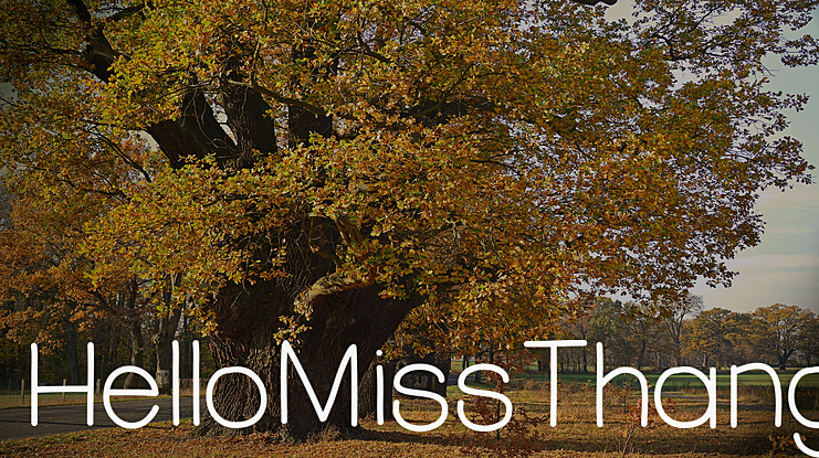 HelloMissThang Font