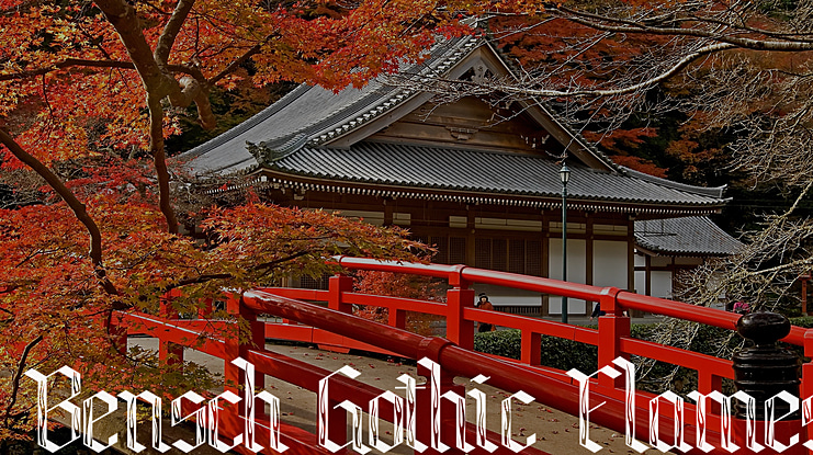 Bensch Gothic Font Family