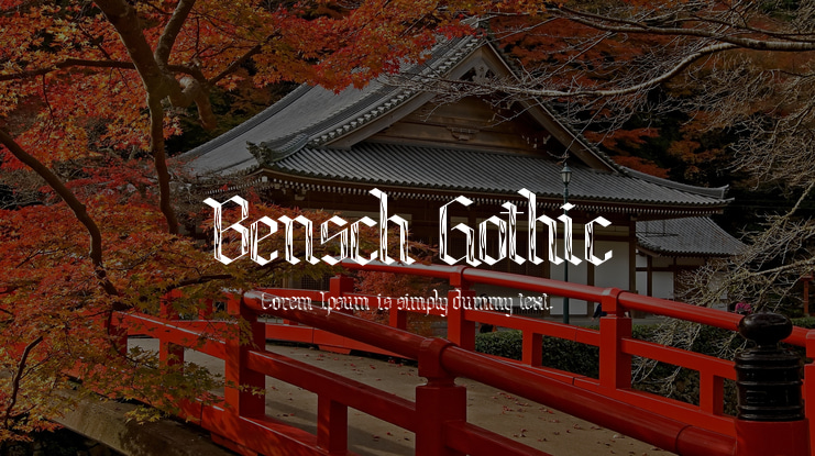 Bensch Gothic Font Family